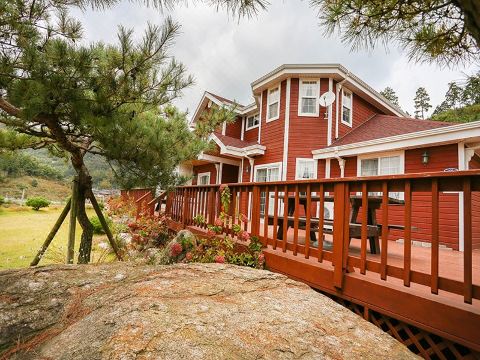 보성 숙소 주변 풍경