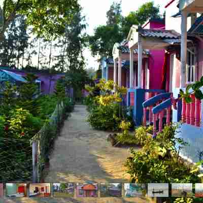 Sharma Guest House Hotel Exterior