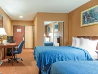 Quality Inn & Suites - Parking