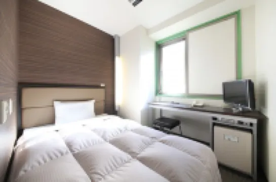 Washington R&B Hotel Otsukaeki Kitaguchi โรงแรมใกล้Togenukijizo Kogan Temple