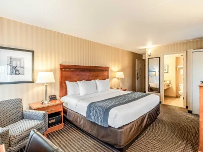 Comfort Inn & Suites Alexandria West Hotels near Homesense
