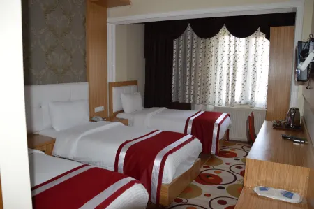 Dinc Hotel Отели в г. Isletme Mahallesi