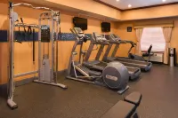 Hampton Inn & Suites Greenville - Gym