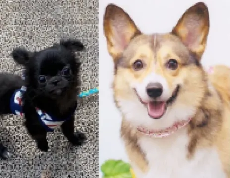 新穂高温泉 散步日和旅館