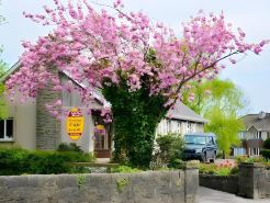Ach na Sheen Guest House