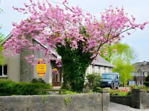Ach na Sheen Guest House - Alloggi