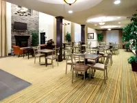 โรงแรม ฮอลิเดย์ อินน์ เอ็กซ์เพรส โฮเทล แอนด์ สวีทส์ เฟรสโน เซาท์ บาย IHG