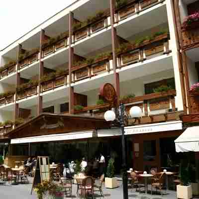 奧林匹克飯店 - 蒙大拿中心 Hotel Exterior