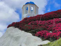 Cameron Farm House Hotels in Ulu Telom