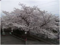 Yamanokami Onsen
