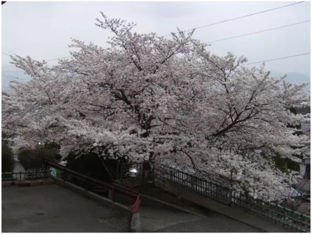Yamanokami Onsen Отели рядом с достопримечательностью «ТОГАКУШИ ЦИНДЖИА»