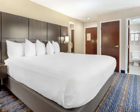 ベストウェスタン プラス フェアフィールド ホテル フェアフィールドのホテル