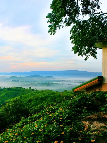 รูปภาพของบ้านภูนรินทร์ เขาใหญ่