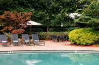 Atlanta Marriott Northeast/Emory Area - piscina