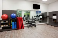 聖保羅伍德伯裏喜來登酒店 - 健身室/gym room