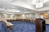 Comfort Suites Hanes Mall Hotels in Forsyth County