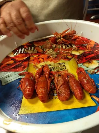 Private Charming Small Apartment Отели в г. Мобил