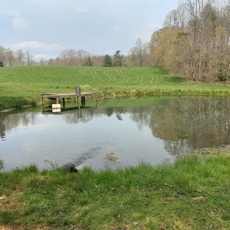 Private, Secluded, Relaxing Cabin.   1853Ask about Wedding Opportunities!