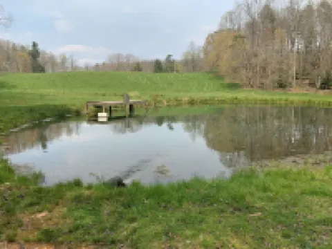 Private, Secluded, Relaxing Cabin.   012564ASK ABOUT WEDDING OPPORTUNITIES!