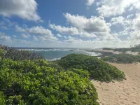 Newly Renovated Condo Within a Short Walk to Ritz-Carlton Resort and Beaches