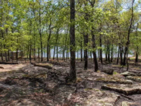 New Cabin on Private Lake with Hot Tub, Gas Grill, Fire Pit & Swings Hotels in Sequoyah County