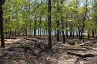 New Cabin on Private Lake with Hot Tub, Gas Grill, Fire Pit & Swings