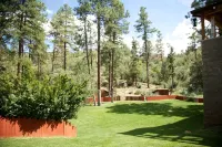 Secluded on 9 acres Beautiful 6,000+ Sq. Ft. Cabin, 6 Bd 4.25 Bath - شاليه