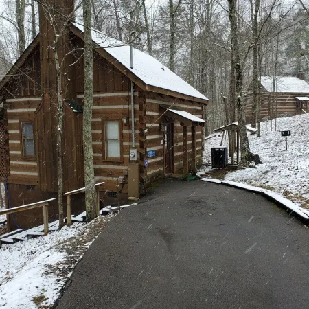 Twin Bear I, A Cozy Cabin in the Woods, with Level 2 EV Charger!
