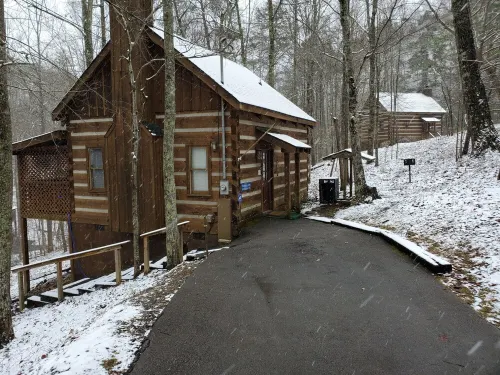 Twin Bear I, A Cozy Cabin in the Woods, with Level 2 EV Charger! - Romantic