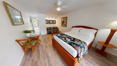 Poolside Cozy 1br, 1Qbed plus 1QSofa bed, Med refrig, sm kitchen,2min to Ocean