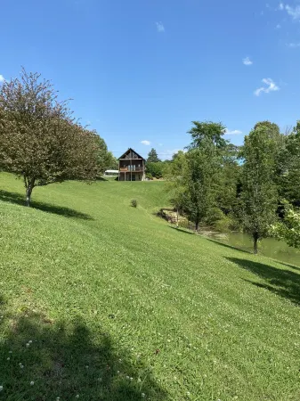 Bring the boat! 2 bedroom  cabin on Flat Creek on Douglas Lake with lake access Отели рядом с достопримечательностью «Sims Point»