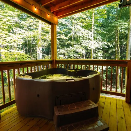 Romantic Luxe Cabin : Hot Tub, Private Trails : 32 Forested Acres : EV Charger