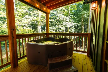 Romantic Luxe Cabin : Hot Tub, Private Trails : 32 Forested Acres : EV Charger