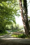 Updated Getaway in the hills of southern Indiana. Minutes from Starve Hollow SRA
