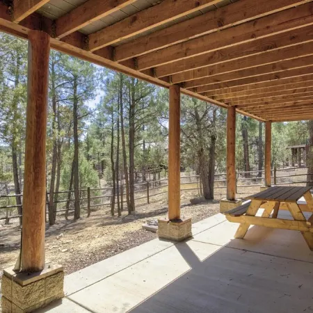Bison Ridge 4 BR, 4BA Cabin with National Forest access and views!