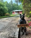🏡Little Bear Cabin In Helen🐻