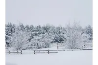 Olympic Mountain View Retreat on Serene Acreage!