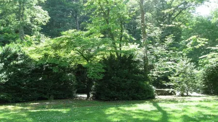 Rustic River Cabin, Charming Riverfront, Hottub, 2 Stone Fireplaces, Dock, Views