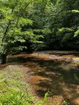 Secluded cabin with loft near a creek.  Perfect get a way for relaxation.
