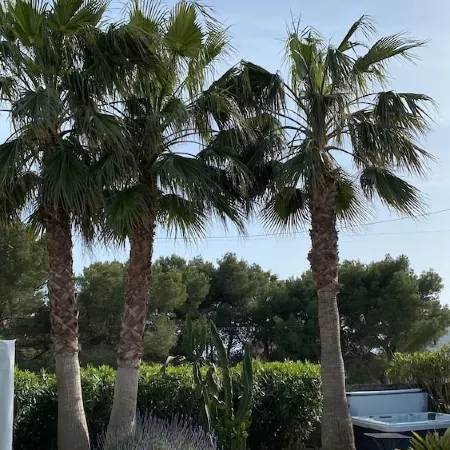 Modern bungalow with heated pool, 50m from the sea - whirlpool -