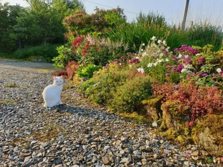 Domaine FlorEl: 3 bedrooms