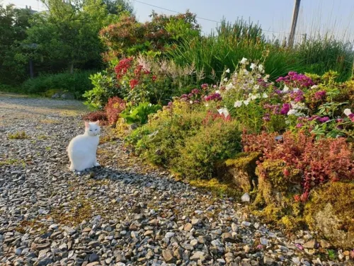 Domaine FlorEl: 3 bedrooms