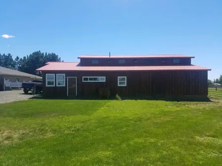 Horsing Around In The Barn (Pet friendly)