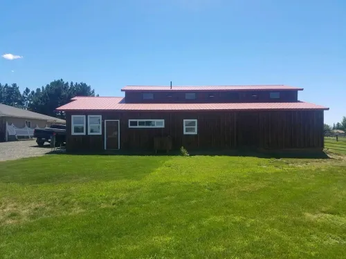 Horsing Around In The Barn (Pet friendly)