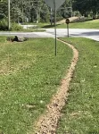 Jade's Junction with Bike-in Bike-out Back 40, Hiking Trails, and Golf Course
