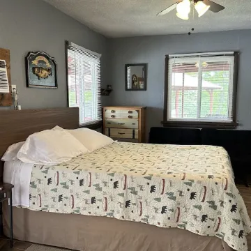 Clean, family/pet friendly AR Ozark Mountain/Norfork Lake Front Cabin