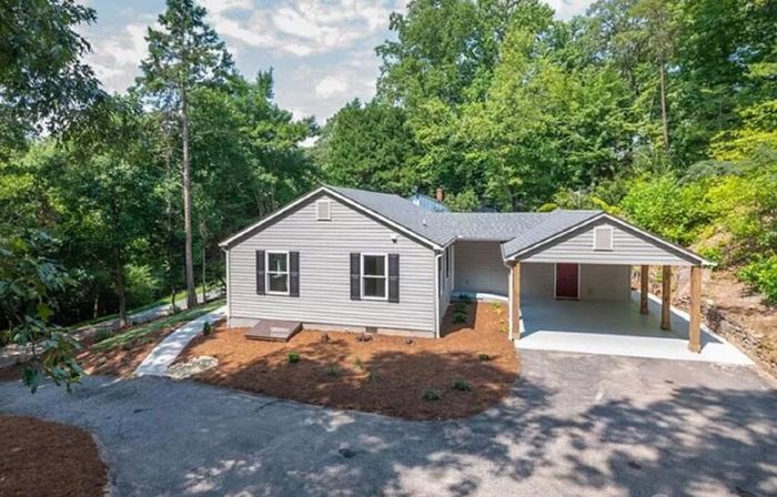 Bright New Cozy Cottage -  1/2 mi from downtown.
