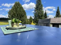 Holiday house in the quietly located holiday park Tennenbronn 施拉姆貝格酒店