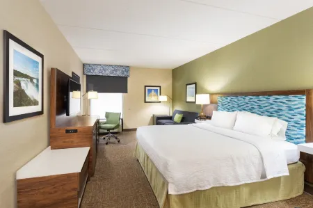 歡朋飯店-布法羅南/I-90