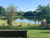 Peaceful Country Getaway on an acre